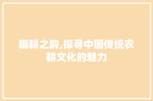 耨耕之韵,探寻中国传统农耕文化的魅力