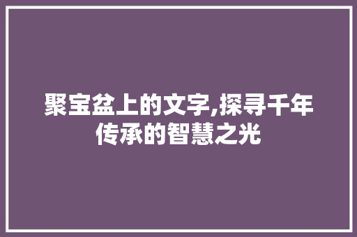 聚宝盆上的文字,探寻千年传承的智慧之光