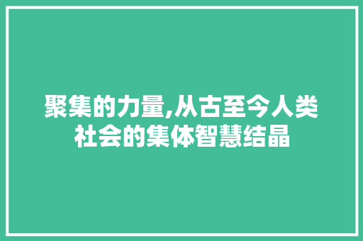 聚集的力量,从古至今人类社会的集体智慧结晶