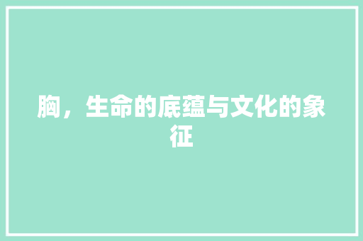 胸，生命的底蕴与文化的象征