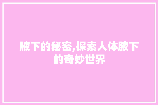 腋下的秘密,探索人体腋下的奇妙世界