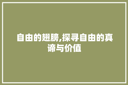 自由的翅膀,探寻自由的真谛与价值