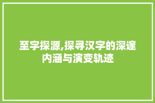至字探源,探寻汉字的深邃内涵与演变轨迹