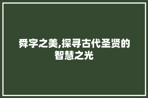舜字之美,探寻古代圣贤的智慧之光