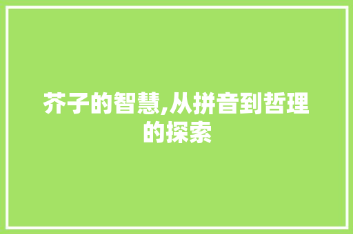 芥子的智慧,从拼音到哲理的探索