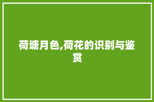 荷塘月色,荷花的识别与鉴赏