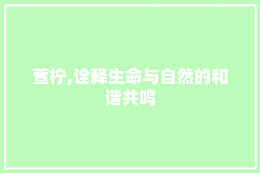 萱柠,诠释生命与自然的和谐共鸣