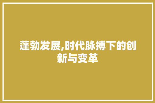 蓬勃发展,时代脉搏下的创新与变革