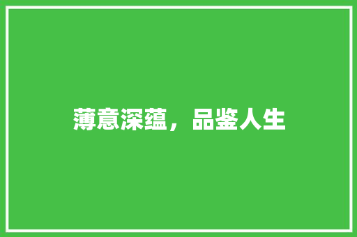 薄意深蕴，品鉴人生