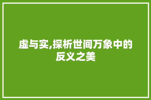 虚与实,探析世间万象中的反义之美