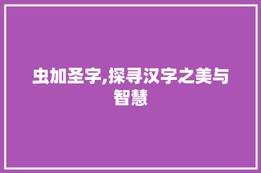 虫加圣字,探寻汉字之美与智慧