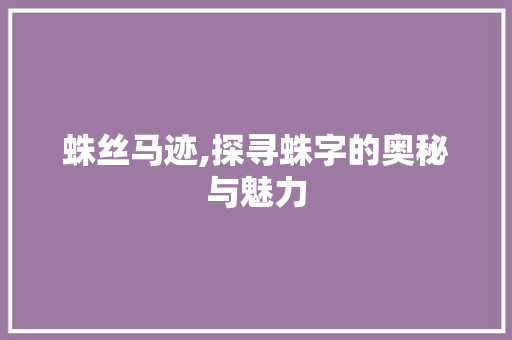 蛛丝马迹,探寻蛛字的奥秘与魅力