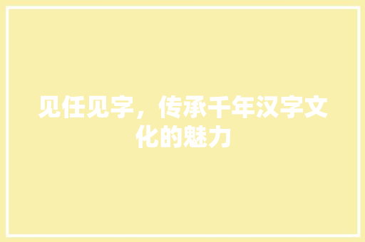 见任见字，传承千年汉字文化的魅力