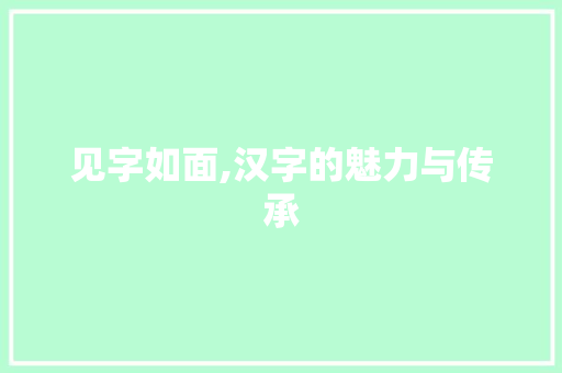 见字如面,汉字的魅力与传承