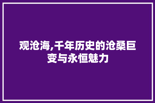 观沧海,千年历史的沧桑巨变与永恒魅力