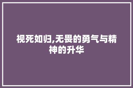 视死如归,无畏的勇气与精神的升华