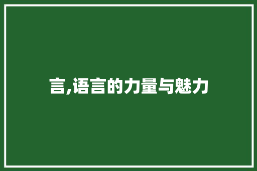 言,语言的力量与魅力