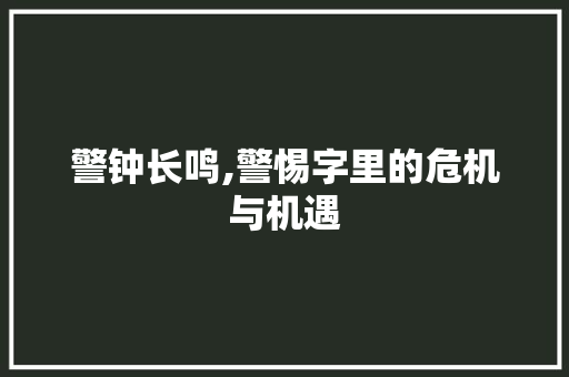 警钟长鸣,警惕字里的危机与机遇