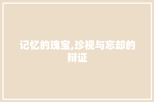 记忆的瑰宝,珍视与忘却的辩证