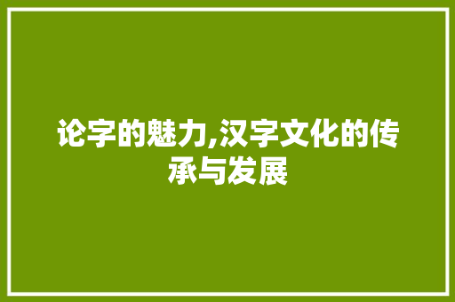论字的魅力,汉字文化的传承与发展