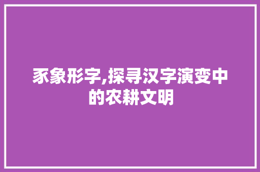 豕象形字,探寻汉字演变中的农耕文明