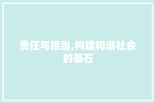 责任与担当,构建和谐社会的基石