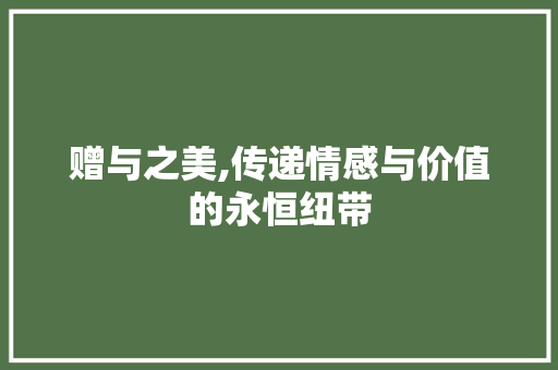 赠与之美,传递情感与价值的永恒纽带