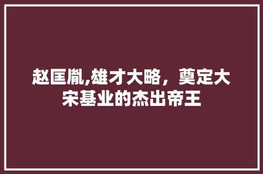 赵匡胤,雄才大略，奠定大宋基业的杰出帝王