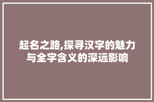 起名之路,探寻汉字的魅力与全字含义的深远影响