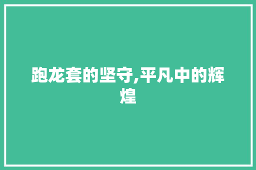 跑龙套的坚守,平凡中的辉煌