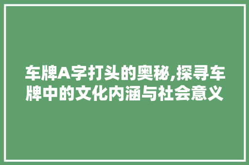 车牌A字打头的奥秘,探寻车牌中的文化内涵与社会意义