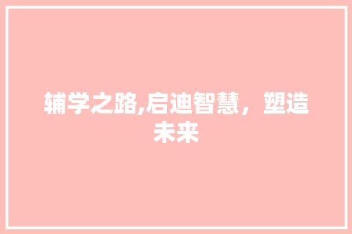 辅学之路,启迪智慧，塑造未来