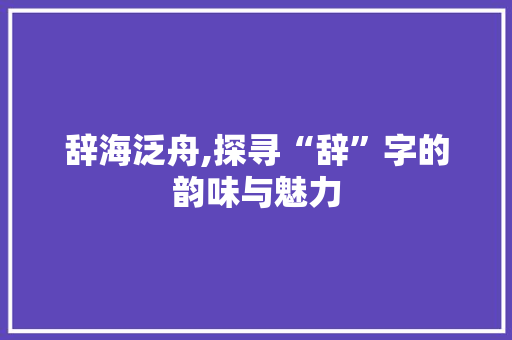 辞海泛舟,探寻“辞”字的韵味与魅力