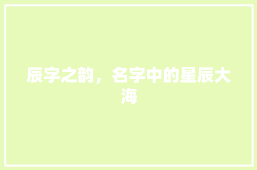 辰字之韵，名字中的星辰大海