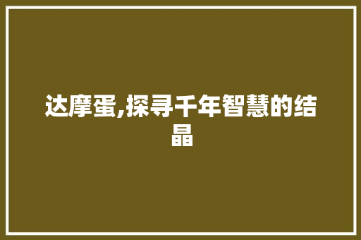 达摩蛋,探寻千年智慧的结晶