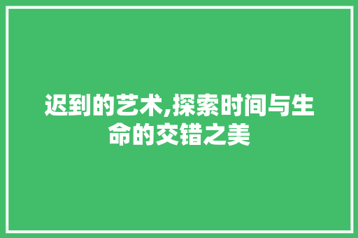 迟到的艺术,探索时间与生命的交错之美