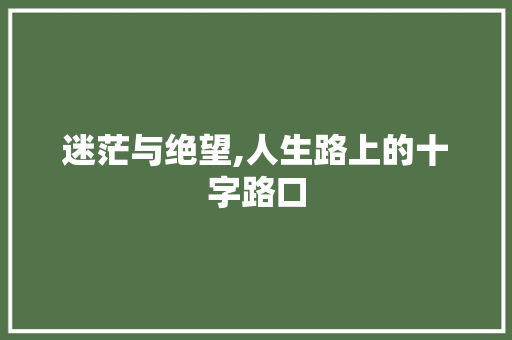 迷茫与绝望,人生路上的十字路口