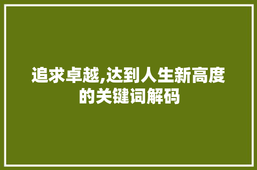 追求卓越,达到人生新高度的关键词解码