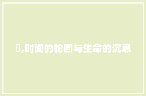 週,时间的轮回与生命的沉思