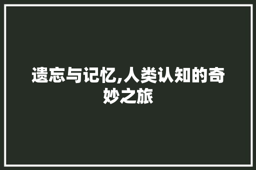 遗忘与记忆,人类认知的奇妙之旅