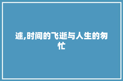 遽,时间的飞逝与人生的匆忙