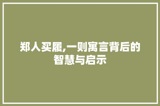 郑人买履,一则寓言背后的智慧与启示