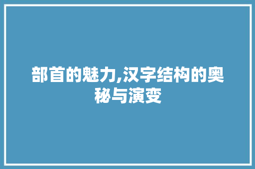 部首的魅力,汉字结构的奥秘与演变