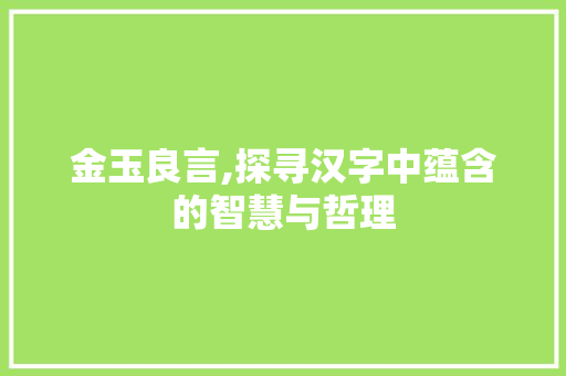 金玉良言,探寻汉字中蕴含的智慧与哲理