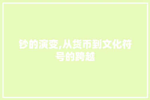 钞的演变,从货币到文化符号的跨越