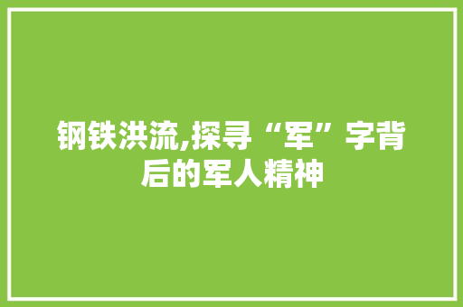 钢铁洪流,探寻“军”字背后的军人精神