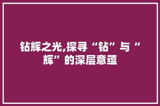 钻辉之光,探寻“钻”与“辉”的深层意蕴