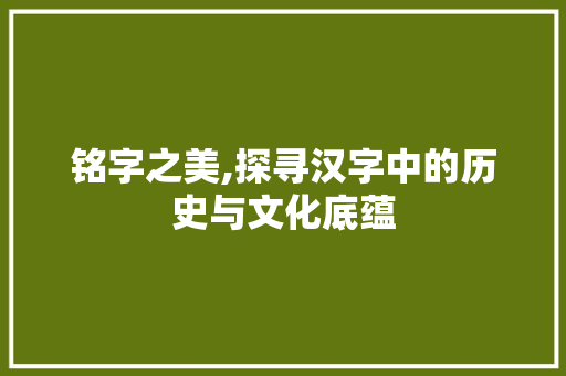 铭字之美,探寻汉字中的历史与文化底蕴
