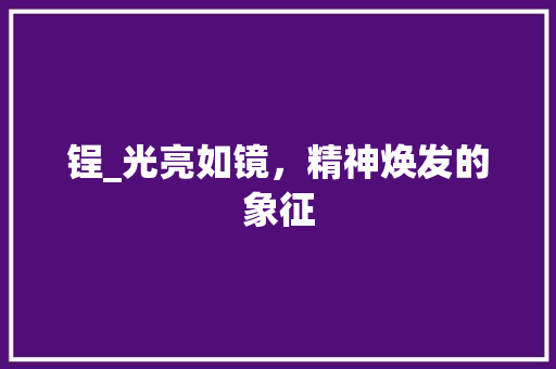 锃_光亮如镜，精神焕发的象征