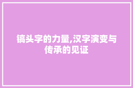 镐头字的力量,汉字演变与传承的见证